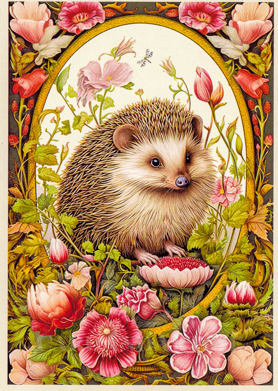Gwenaelle Trolez -  Igel -  Postkarte