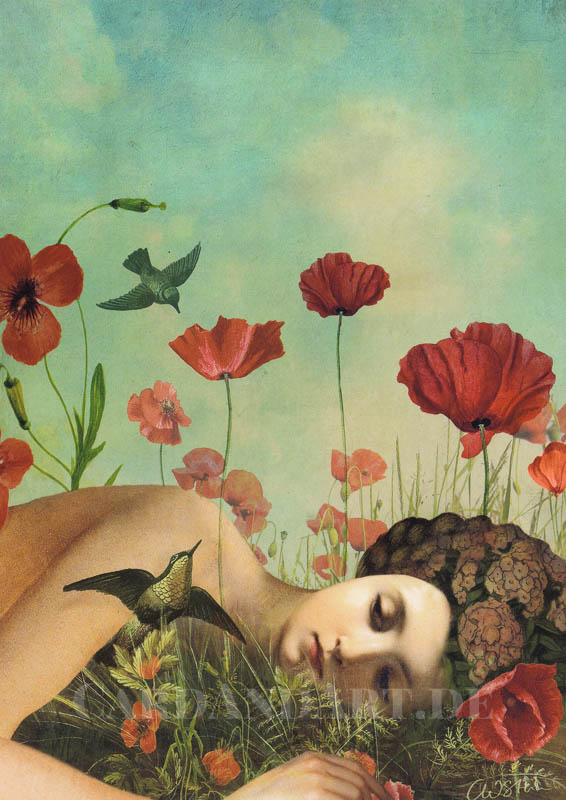 Catrin Welz-Stein, Mohnblumenfeld - Postkarte