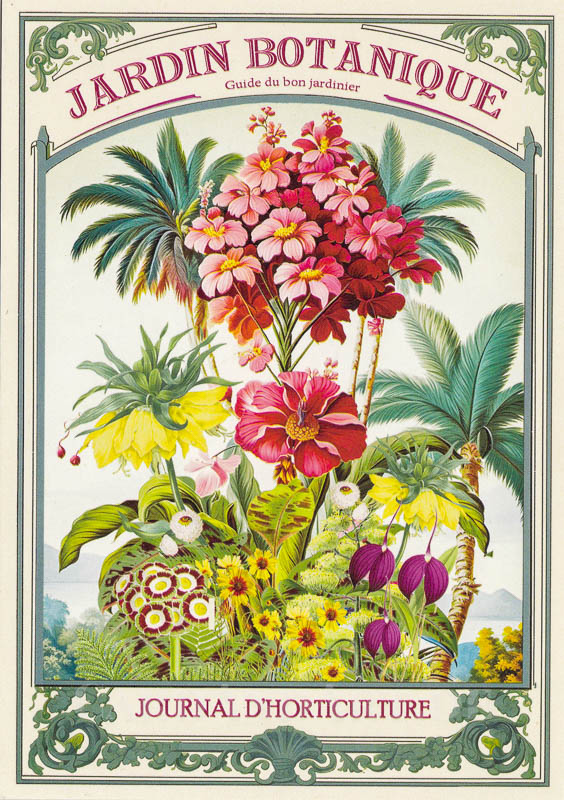 Gwenaelle Trolez - Jardin Botanique -  Postkarte